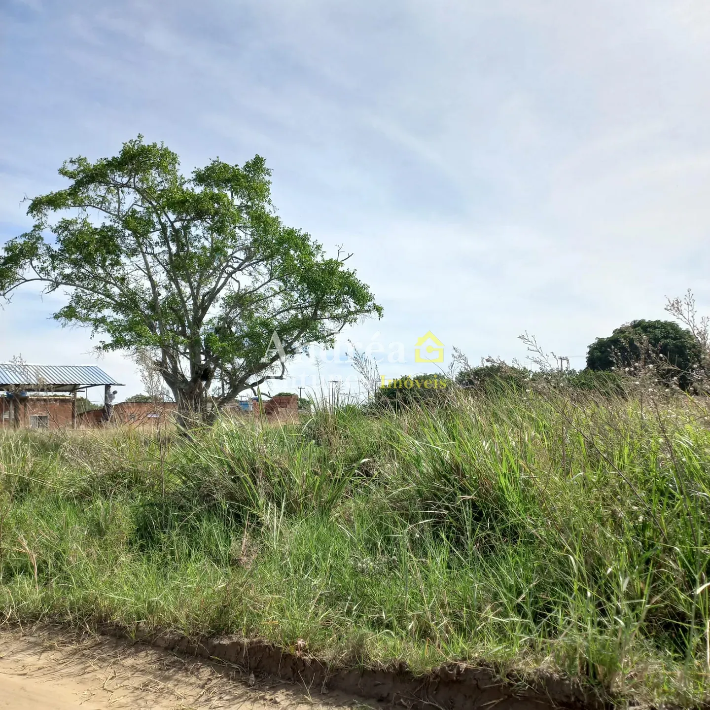Terreno, 600 m² - Foto 6