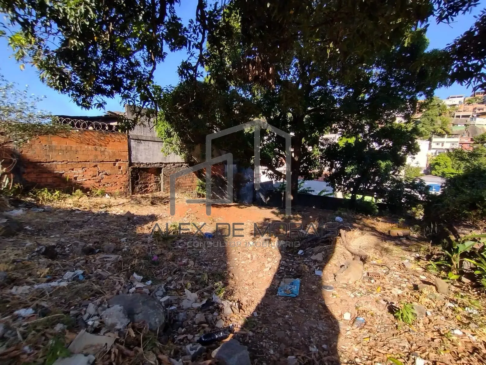 Terreno, 503 m² - Foto 4