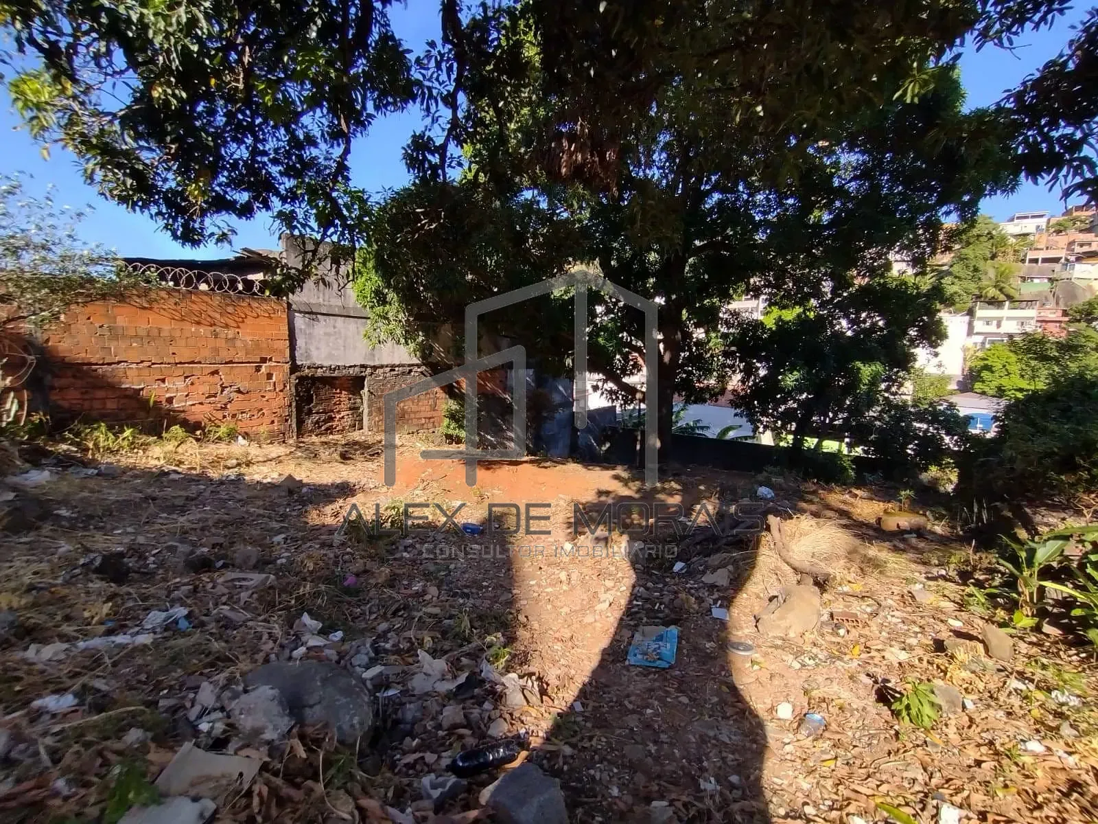 Terreno, 503 m² - Foto 5