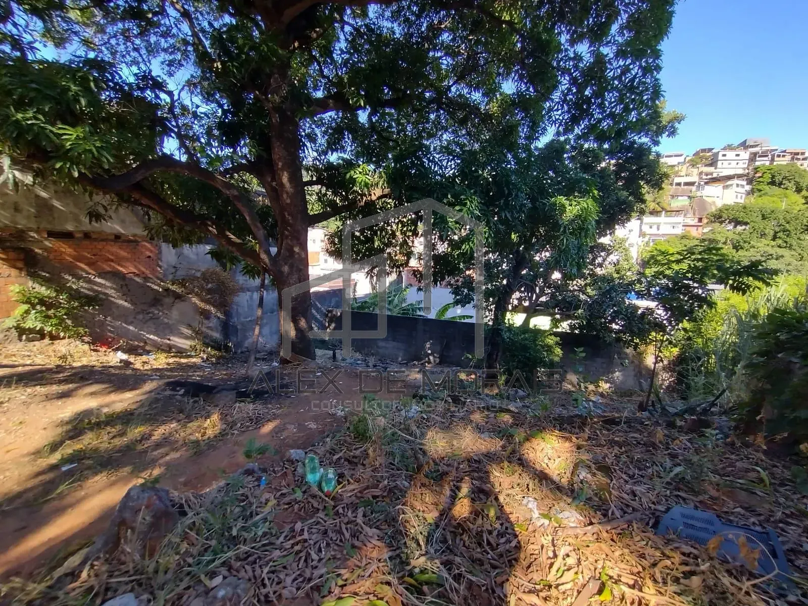 Terreno, 503 m² - Foto 8