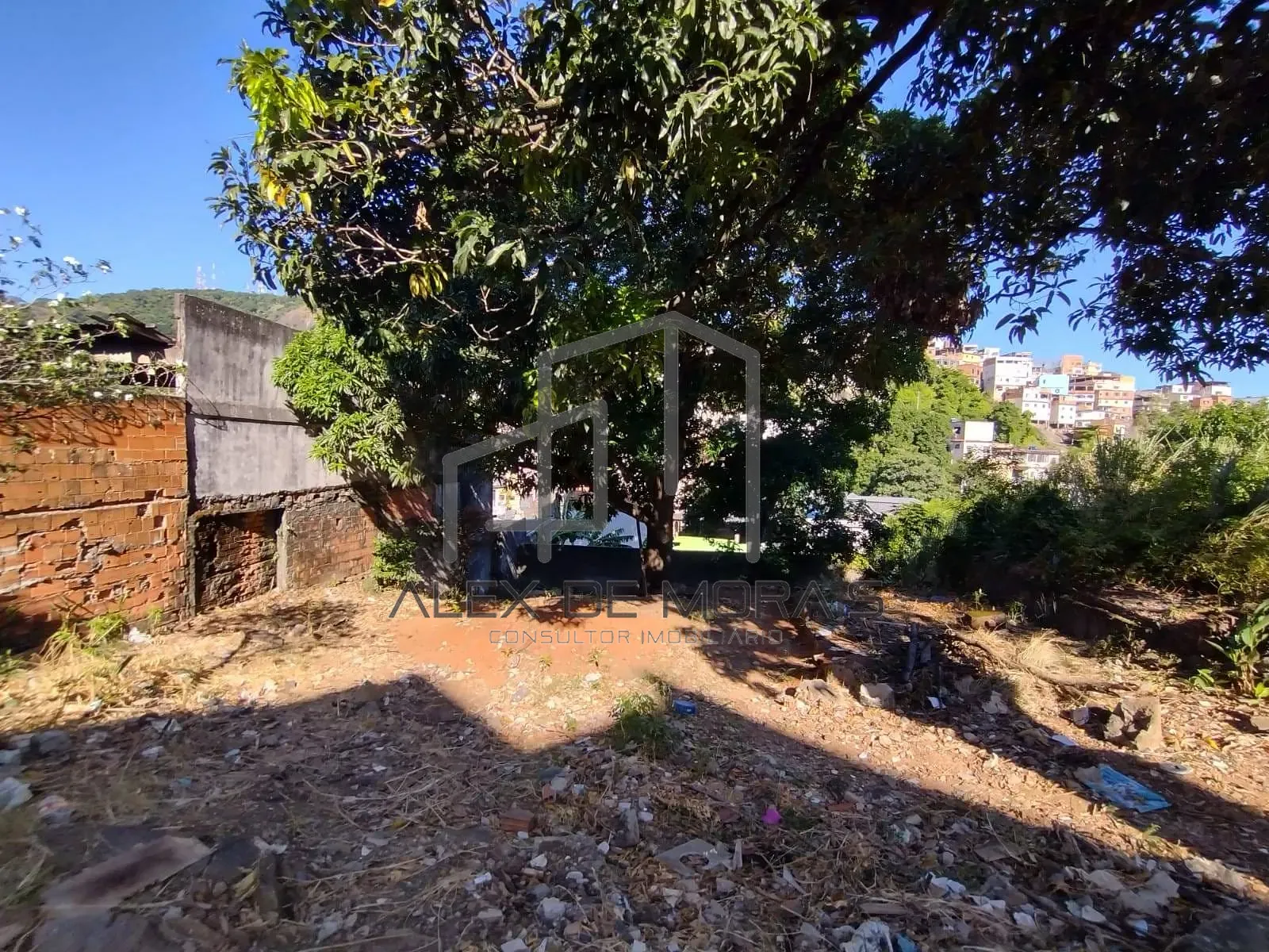 Terreno, 503 m² - Foto 7