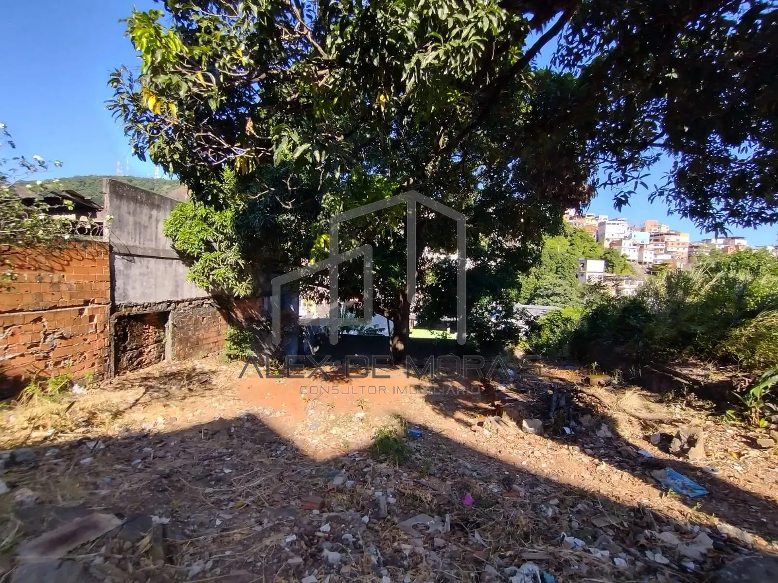 Terreno, 503 m² - Foto 6