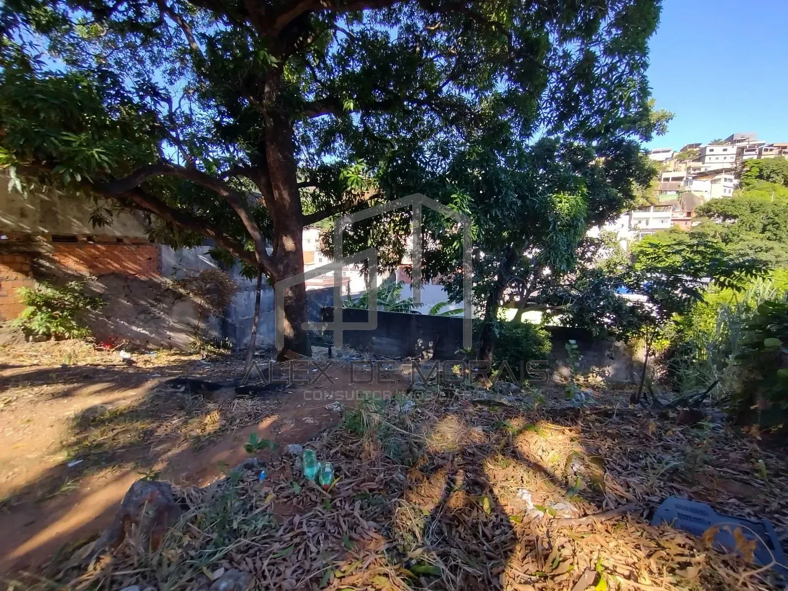 Terreno, 503 m² - Foto 9