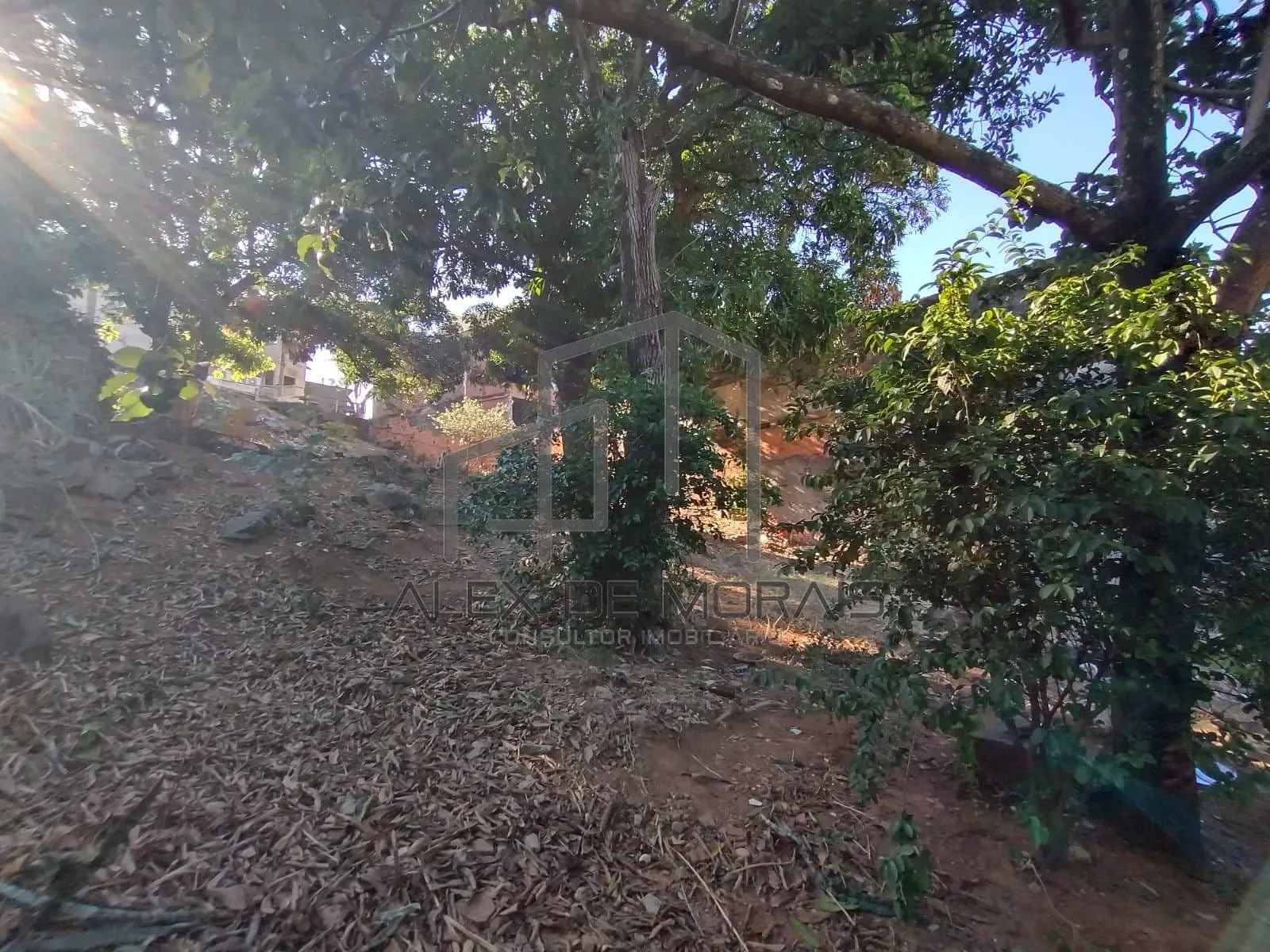Terreno, 503 m² - Foto 19