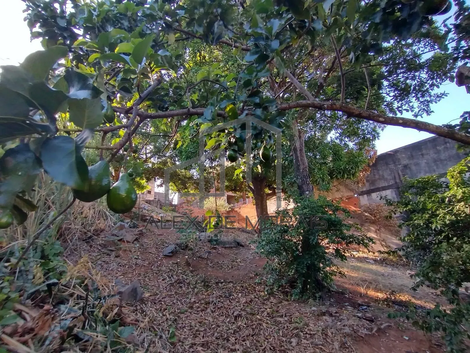 Terreno, 503 m² - Foto 22