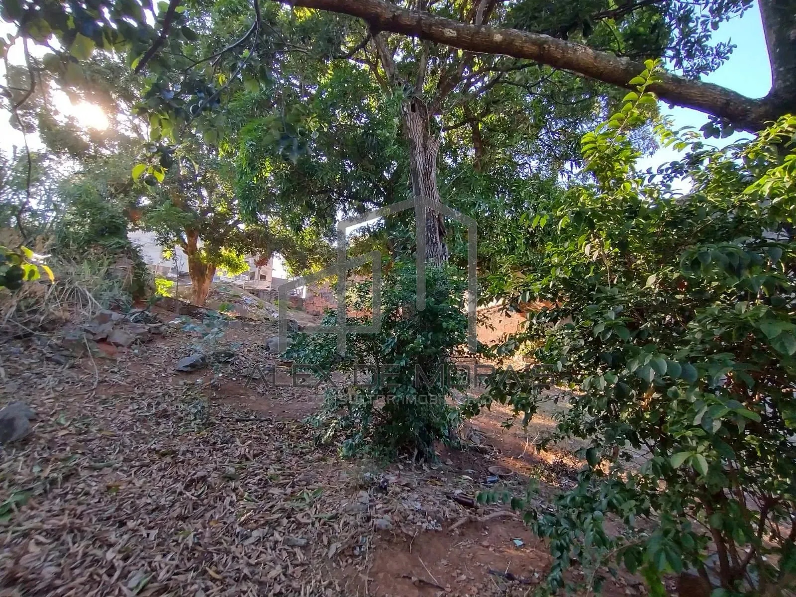Terreno, 503 m² - Foto 25