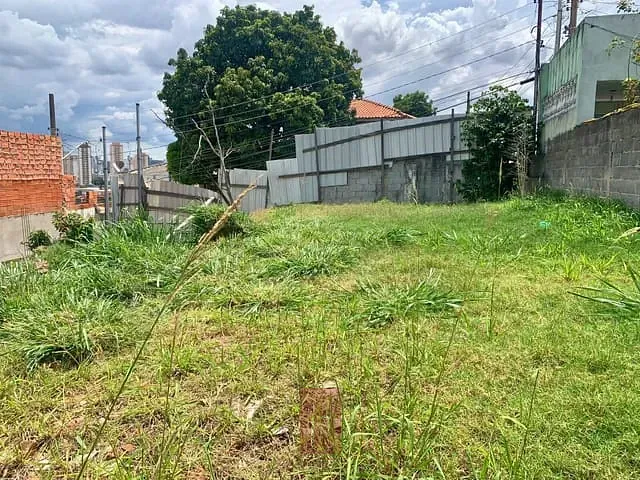 Terreno com 608m², à venda, no bairro Vila Barbosa em São Paulo