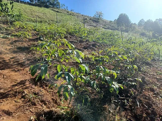 Terreno com 455m², à venda, no bairro Igrejinha em Juiz de Fora