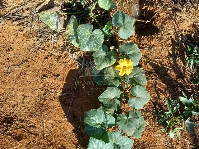 Terreno com 455m², à venda, no bairro Igrejinha em Juiz de Fora
