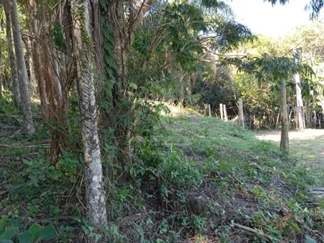 Terreno com 951m², à venda, no bairro Siriú   em Garopaba