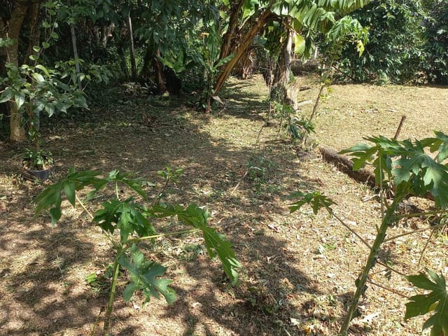 Terreno com 1200m², à venda, no bairro Luiz Fagundes em Mairiporã