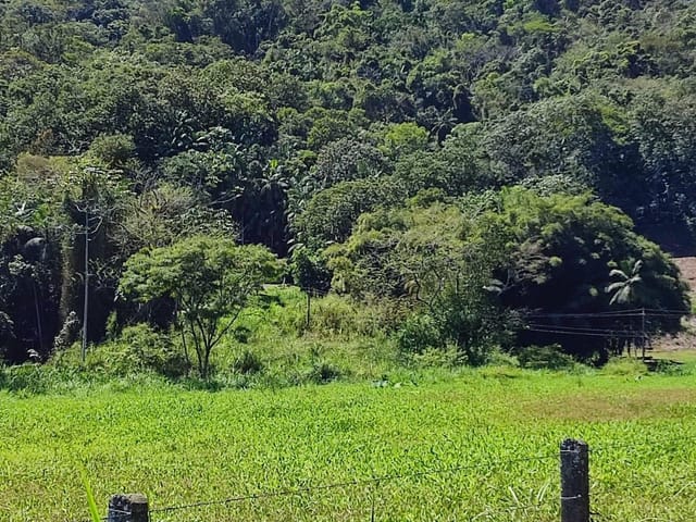 Terreno com 27319m², à venda, no bairro Testo Rega em Pomerode