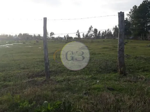 Terreno com 6600m², à venda, no bairro Parque Fragata em Capão do Leão