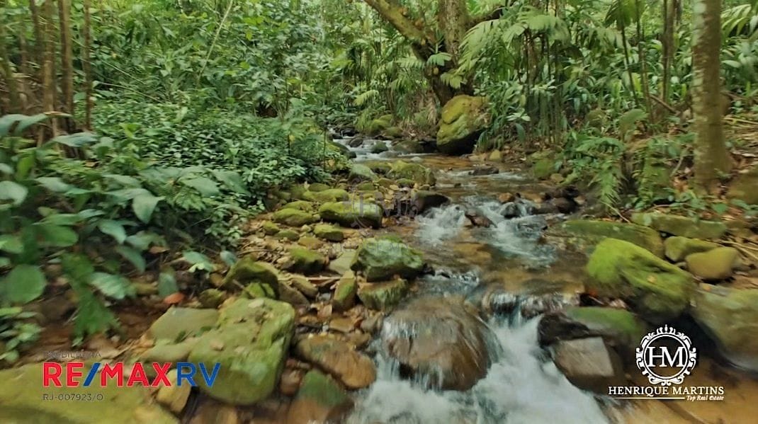 Terreno, 6 hectares - Foto 10