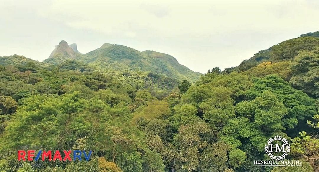 Terreno, 6 hectares - Foto 13