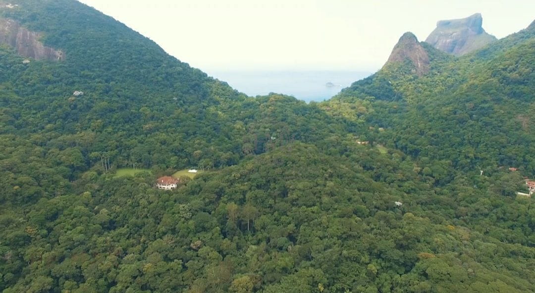 Terreno, 6 hectares - Foto 14