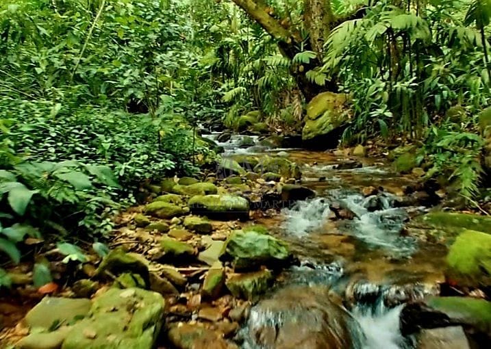 Terreno, 6 hectares - Foto 3