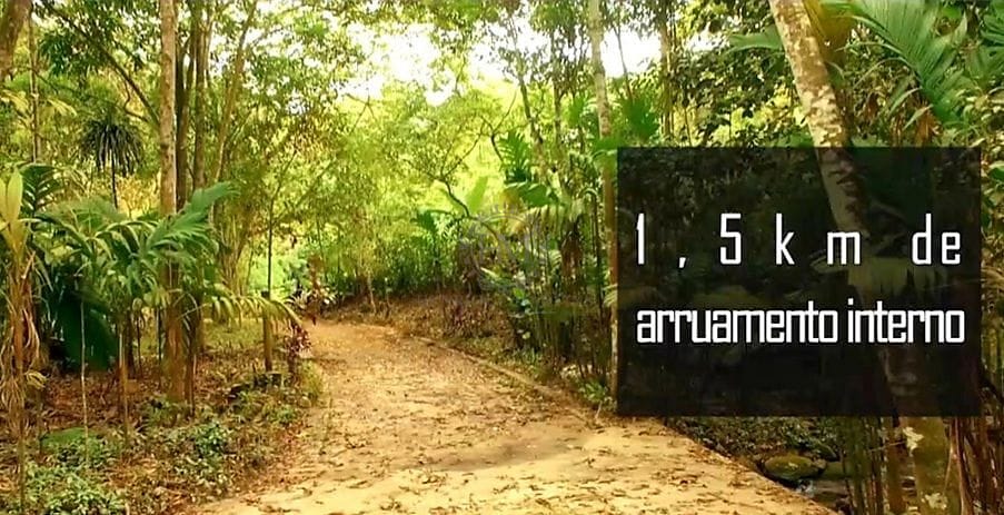 Terreno, 6 hectares - Foto 18