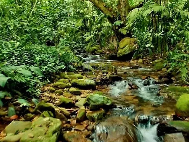 Terreno com 60000m², à venda, no bairro Alto da Boa Vista em Rio de Janeiro