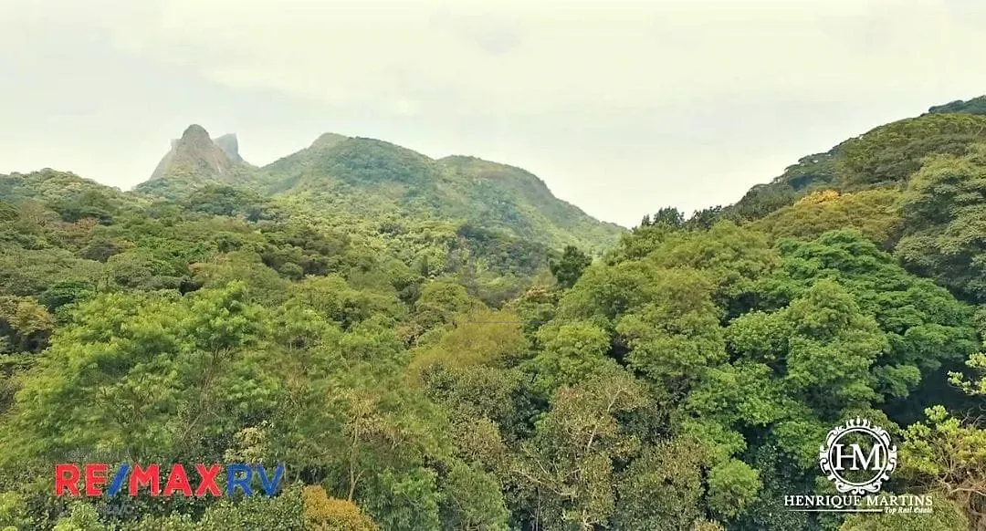 Terreno, 6 hectares - Foto 13
