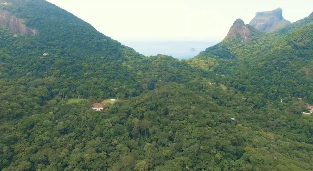 Terreno, 6 hectares - Foto 14