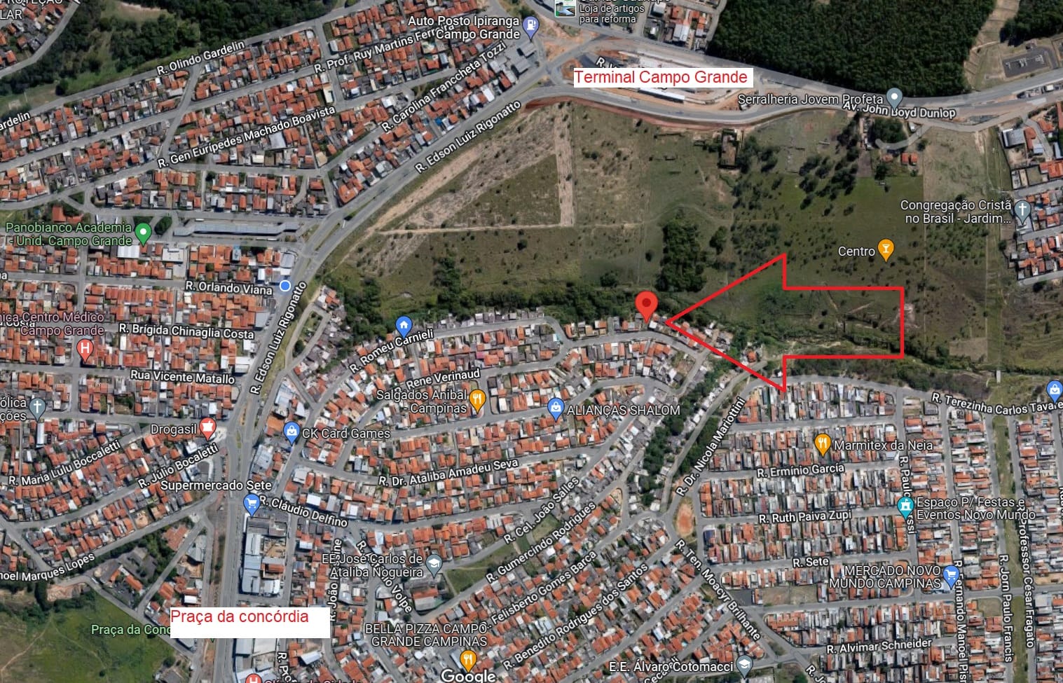 Terreno, 250 m² - Foto 4