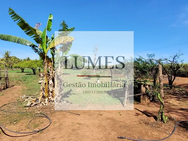 Terreno com 24714m², à venda, no bairro Parque dos Pinheiros em Nova Odessa