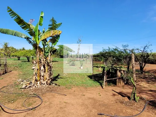 Terreno com 24714m², à venda, no bairro Parque dos Pinheiros em Nova Odessa