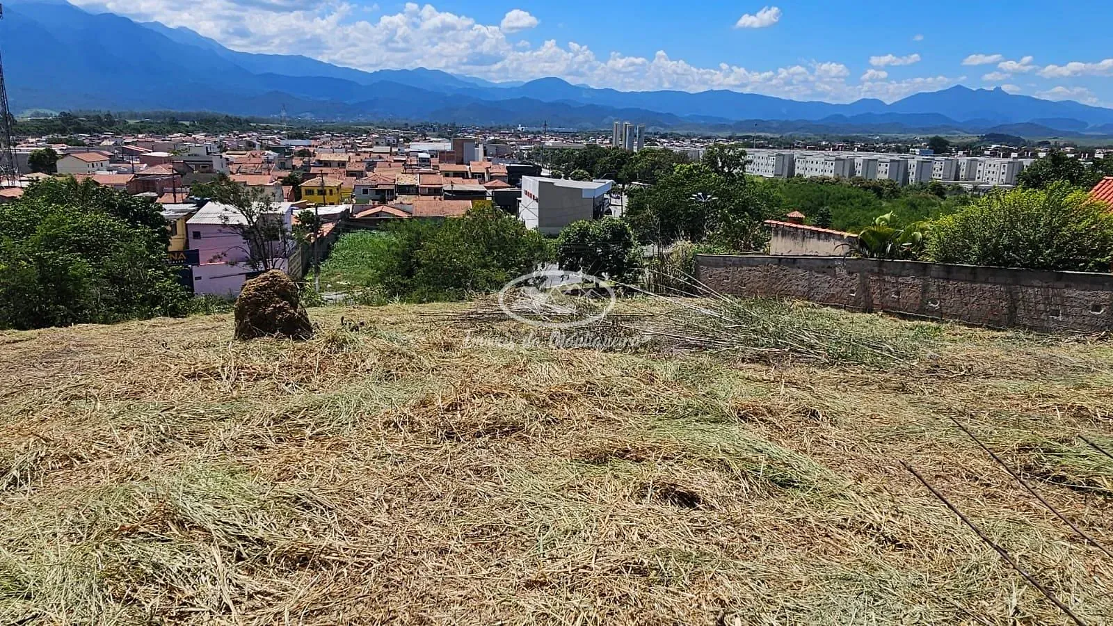 Terreno, 1608 m² - Foto 7