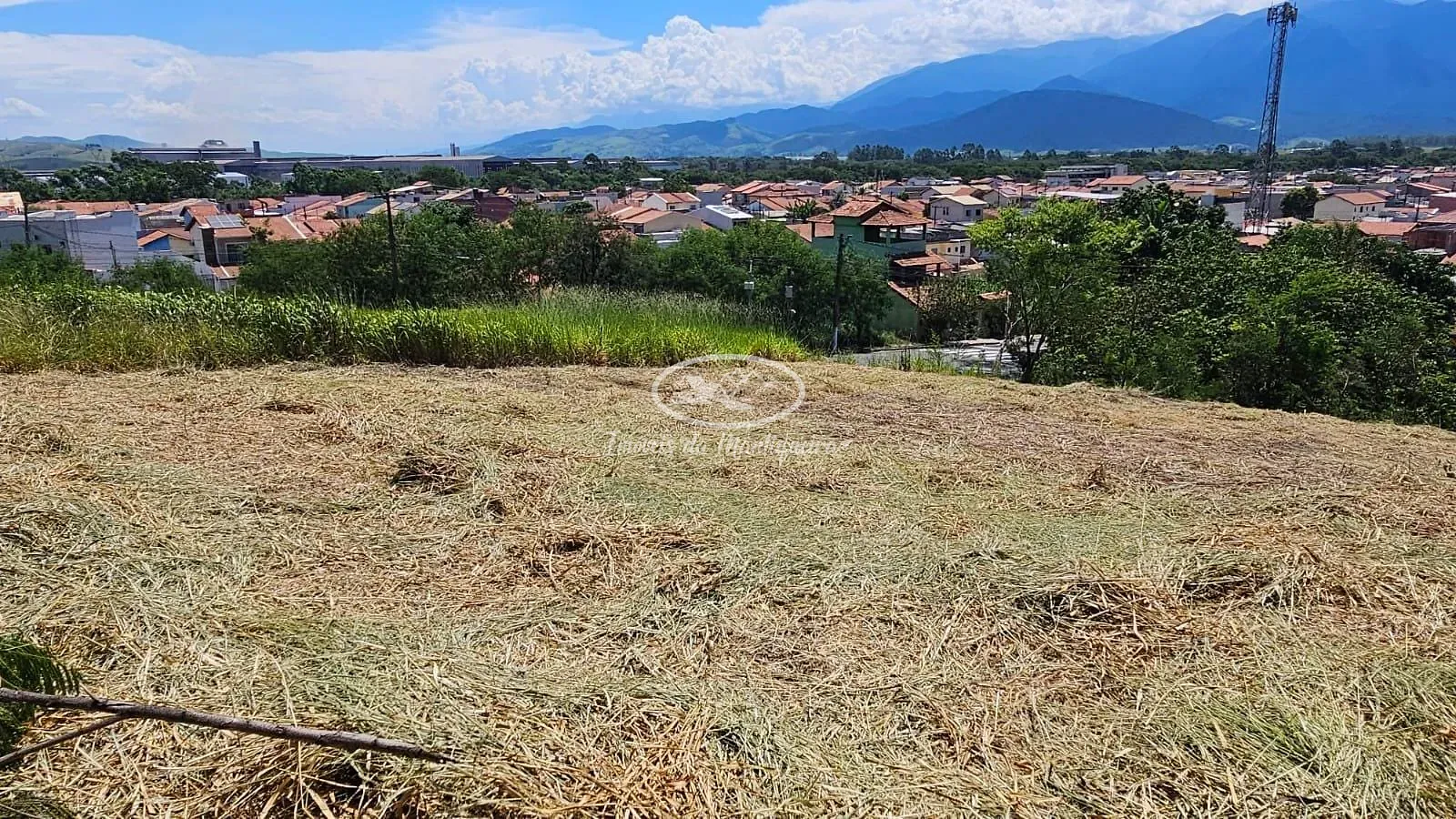 Terreno, 1608 m² - Foto 14