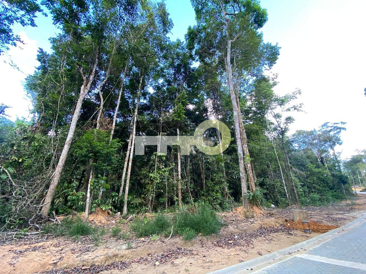 Terreno, 1685 m² - Foto 12