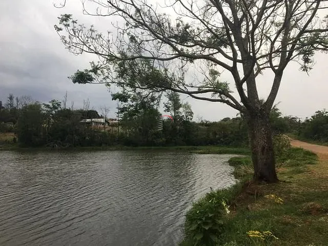 Terreno com 8000m², à venda, no bairro Gleba Palhano em Londrina