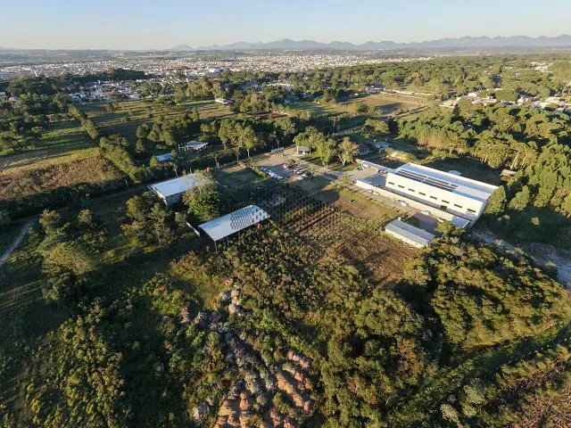 Terreno com 10000m², à venda, no bairro Guarituba em Piraquara
