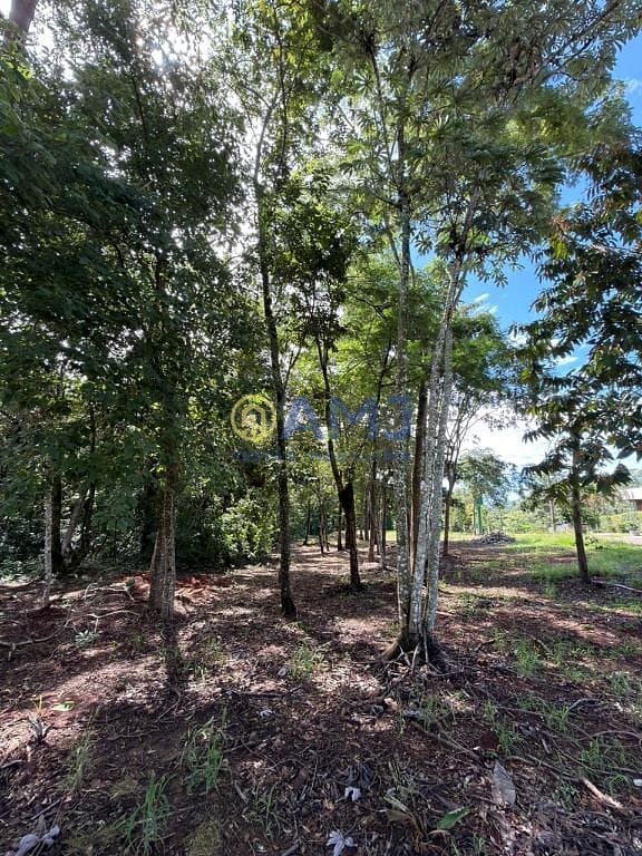 Terreno, 1495 m² - Foto 5