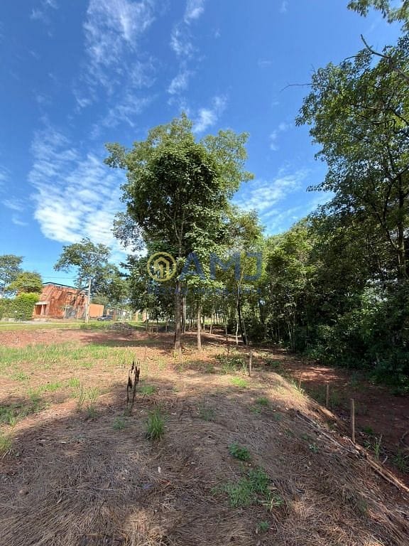 Terreno, 1495 m² - Foto 3