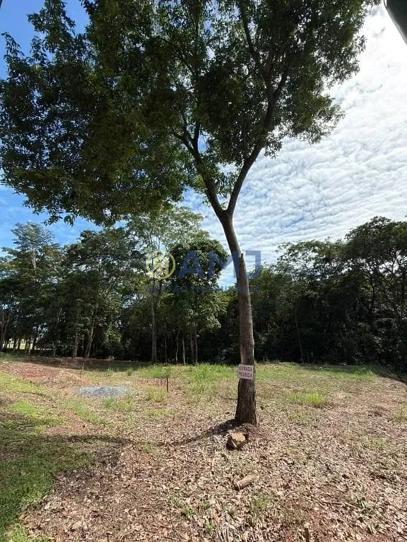 Terreno, 1495 m² - Foto 1