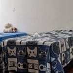 Casa à venda com 3 quartos, 180m² - Foto 27