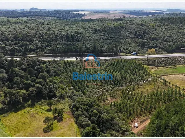 Terreno com 18605m², à venda, no bairro São Sebastião em Fraiburgo