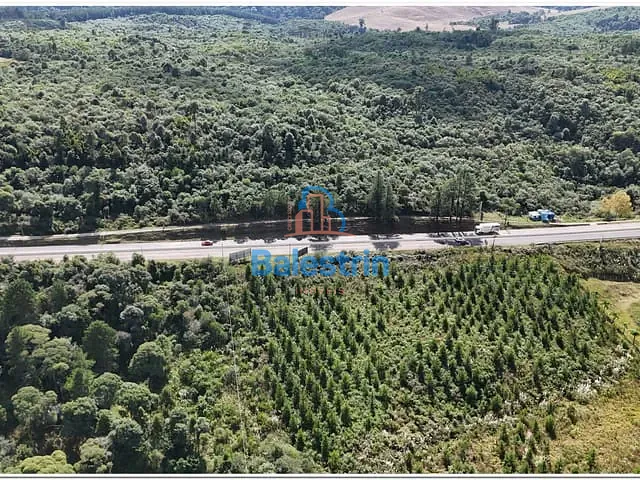 Terreno com 18605m², à venda, no bairro São Sebastião em Fraiburgo