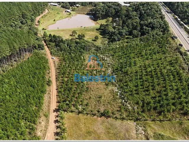 Terreno com 18605m², à venda, no bairro São Sebastião em Fraiburgo