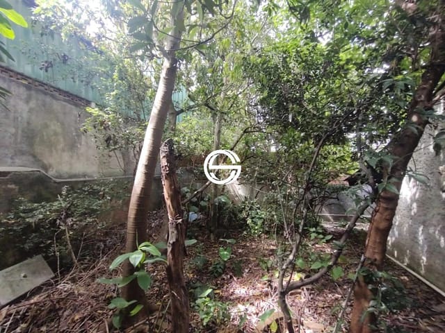 Terreno com 250m², à venda, no bairro Parque Artur Alvim em São Paulo