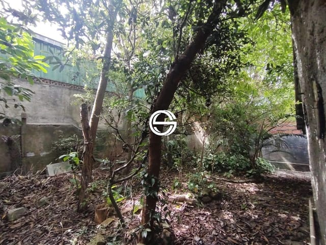 Terreno com 250m², à venda, no bairro Parque Artur Alvim em São Paulo