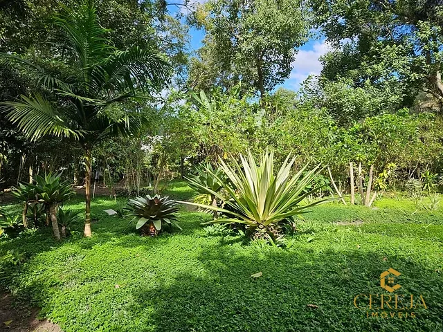 Terreno com 1831m², à venda, no bairro Parque São Clemente em Nova Friburgo