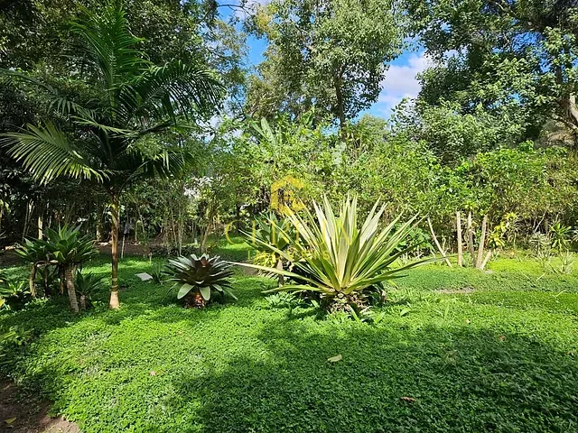 Terreno com 1831m², à venda, no bairro Parque São Clemente em Nova Friburgo