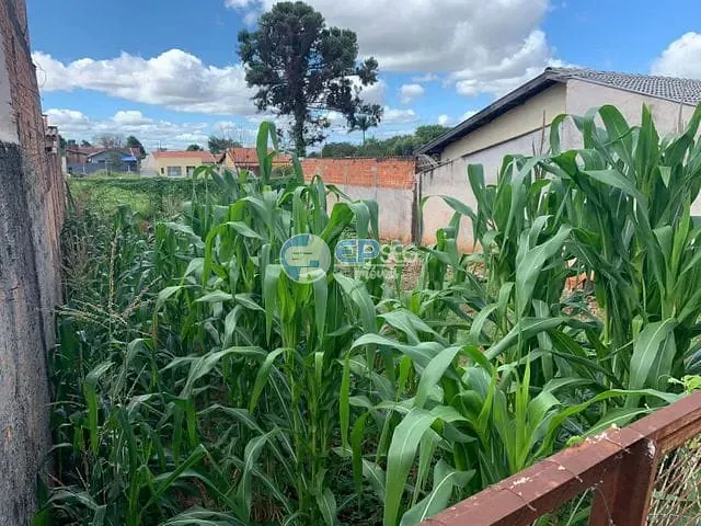 Terreno com 250m², à venda, no bairro Jardim Alemanha em Londrina