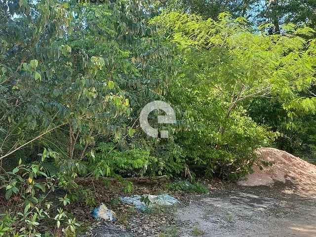 Terreno com 525m², à venda, no bairro Carapanari em Santarém