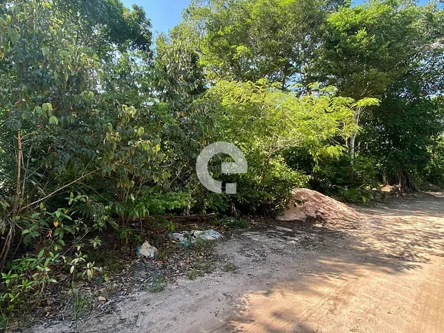 Terreno com 525m², à venda, no bairro Carapanari em Santarém