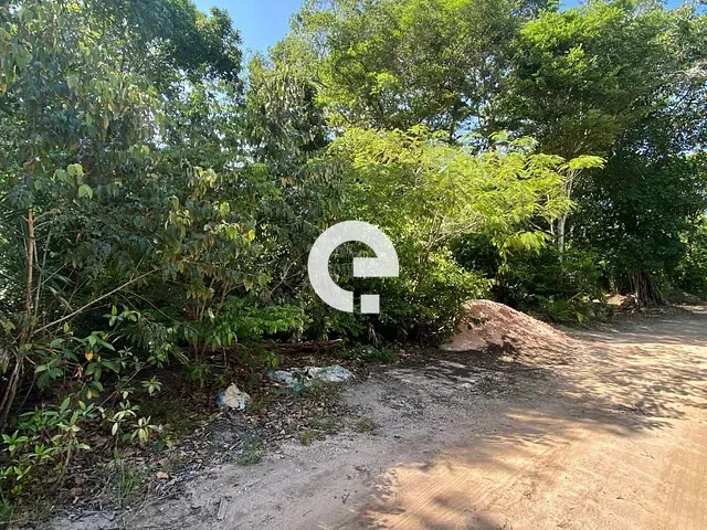 Terreno com 525m², à venda, no bairro Carapanari em Santarém