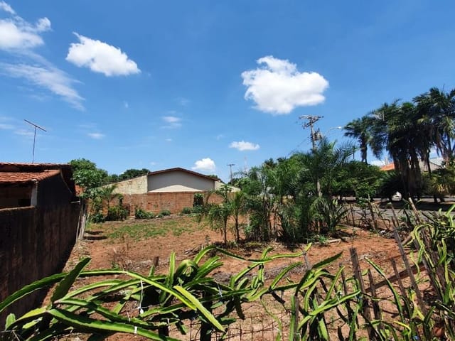 Terreno com 550m², à venda, no bairro Parque das Flores I em São José Do Rio Preto