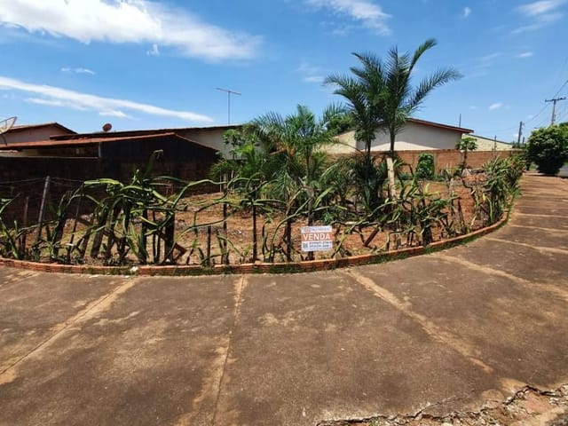 Terreno com 550m², à venda, no bairro Parque das Flores I em São José Do Rio Preto